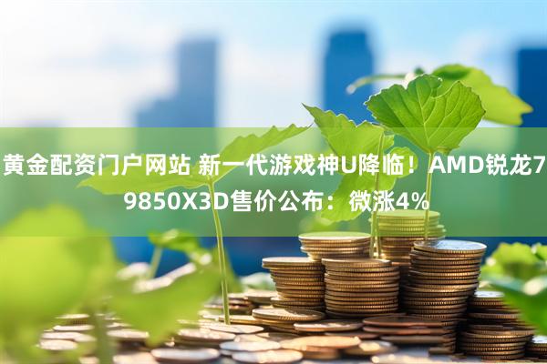黄金配资门户网站 新一代游戏神U降临！AMD锐龙7 9850X3D售价公布：微涨4%