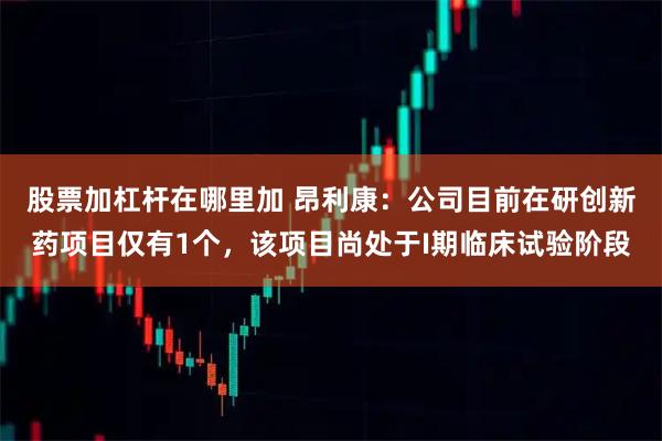 股票加杠杆在哪里加 昂利康：公司目前在研创新药项目仅有1个，该项目尚处于I期临床试验阶段